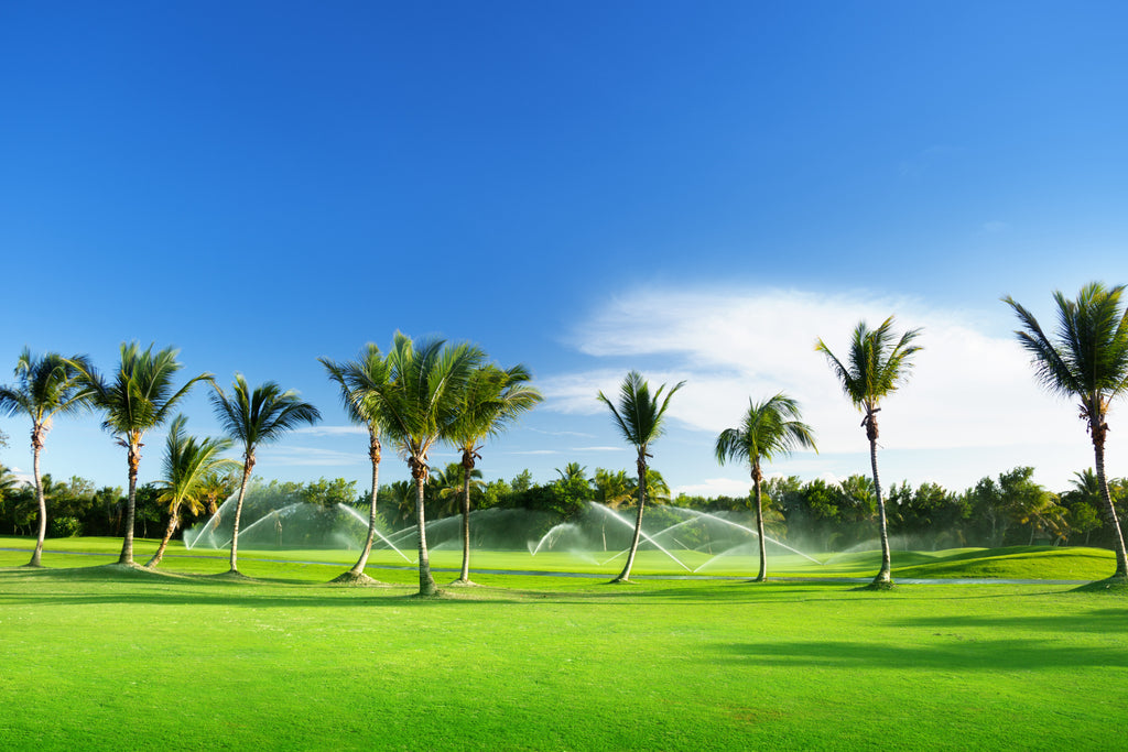 What Golf Needs to be Relevant Over the Next 10 Years